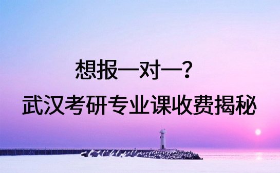 武汉考研专业课收费