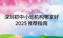 深圳初中小班机构哪家好 2025 推荐指南