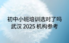 初中小班培训选对了吗 武汉 2025 机构参考