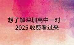 想了解深圳高中一对一 2025 收费看过来