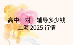 高中一对一辅导多少钱 上海 2025 行情