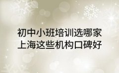 初中小班培训选哪家 上海这些机构口碑好
