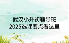 武汉小升初辅导班 2025 选课要点看这里