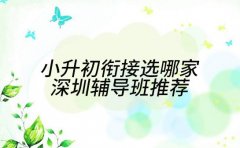 小升初衔接选哪家 深圳辅导班推荐