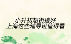 小升初想衔接好 上海这些辅导班值得看
