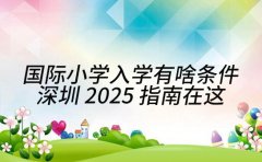 国际小学入学有啥条件 深圳 2025 指南在这