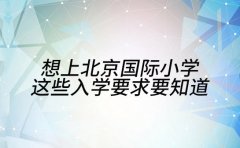 想上北京国际小学 这些入学要求要知道
