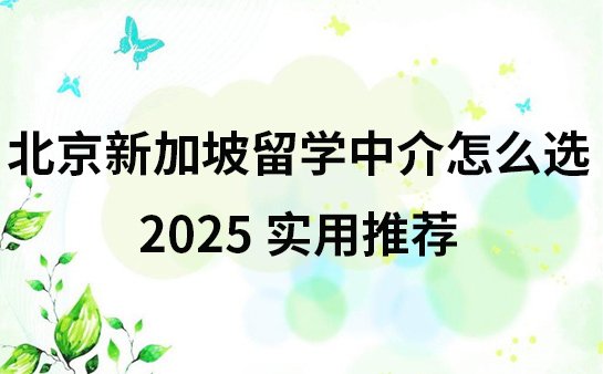 新加坡留学找中介
