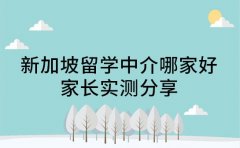 广州新加坡留学中介哪家好 家长实测分享
