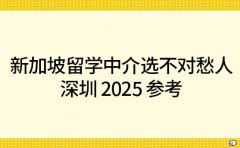 新加坡留学中介选不对愁人 深圳 2025 参考