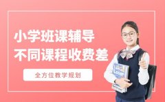青岛小学班课辅导 不同课程收费差多少