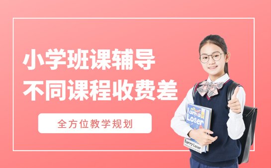 青岛小学班课辅导收费