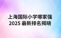 上海国际小学哪家强 2025 最新排名揭晓