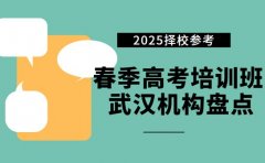 春季高考培训有哪些 武汉 2025 机构盘点
