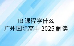 IB 课程学什么 广州国际高中 2025 解读