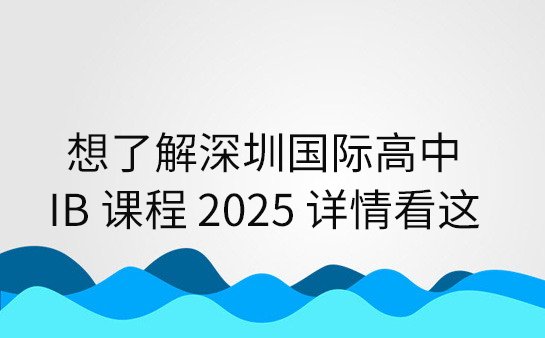 深圳国际高中