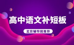 高中语文想补短板 北京辅导班推荐 2025