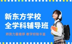 新东方学校教学优势在哪 全学科课程给出答案