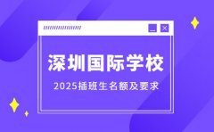 深圳国际学校插班生 2025名额及要求揭秘