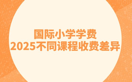 国际小学学费