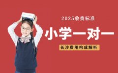 小学一对一收费多少 长沙费用构成解析