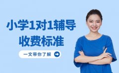武汉小学一对一价格 家长关注的都在这