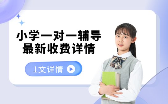杭州小学一对一辅导