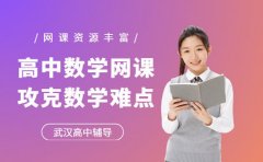 如何攻克数学难点 武汉网课推荐有方法