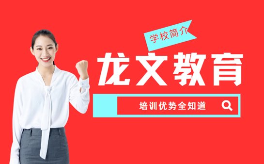 龙文教育学校简介