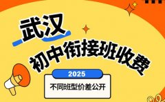 初中衔接班收费参考 武汉不同班型价差公开