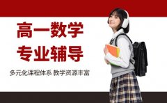 高一数学遇难题?北京专业辅导来助力