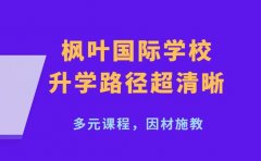 枫叶国际学校受关注 海外升学路径超清晰
