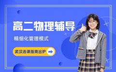 高二物理难突破？武汉辅导班解题技巧揭秘