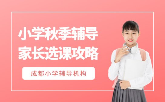 小学秋季辅导班