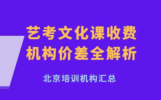 艺考文化课机构