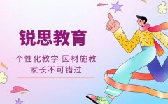 中小学辅导选课难 锐思教育课程解析