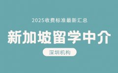 深圳新加坡留学中介 收费背后服务值不值