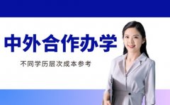 2025中外合作办学费用 不同学历层次成本参考