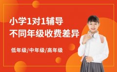 顺德小学1对1辅导 不同年级收费差异