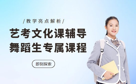 艺考文化课辅导机构