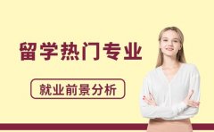 2026出国留学选专业 热门方向就业前景分析