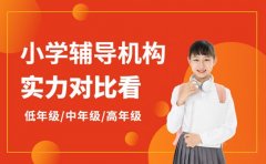 想找靠谱小学辅导 珠海机构实力对比看