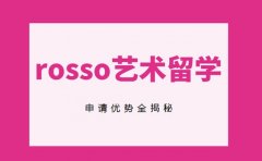 rosso艺术留学中介 申请优势全揭秘