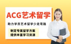 艺术留学少走弯路 ACG留学中介优势速看
