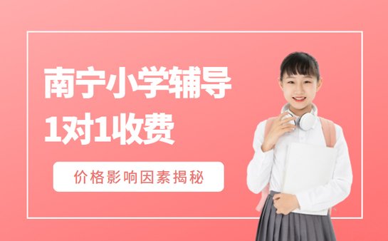 小学辅导一对一收费